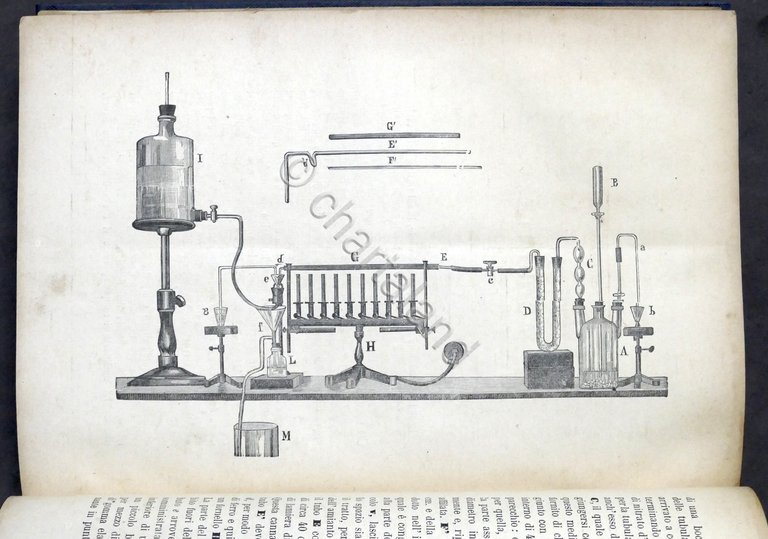 Farmaceutica - D. Vitali - Manuale di chimica tossicologica - …