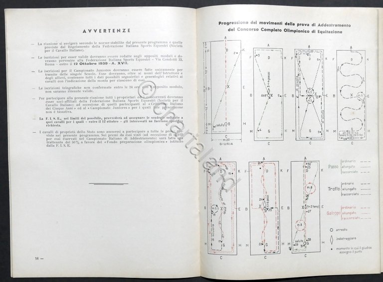 Federazione Sports Equestri - Campionati Equestri Nazionali - Programma - …