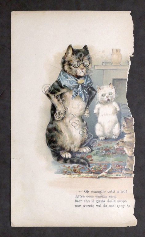 Fides - Storielle Amene illustrate per il mondo piccino - …