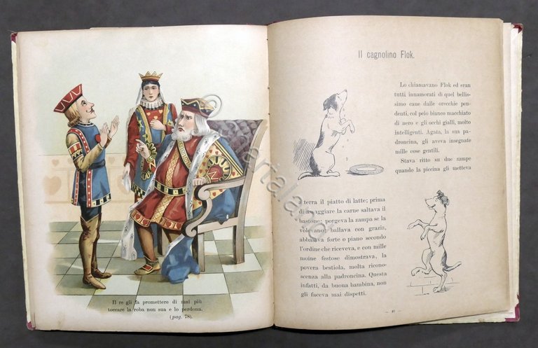 Fides - Storielle Amene illustrate per il mondo piccino - …