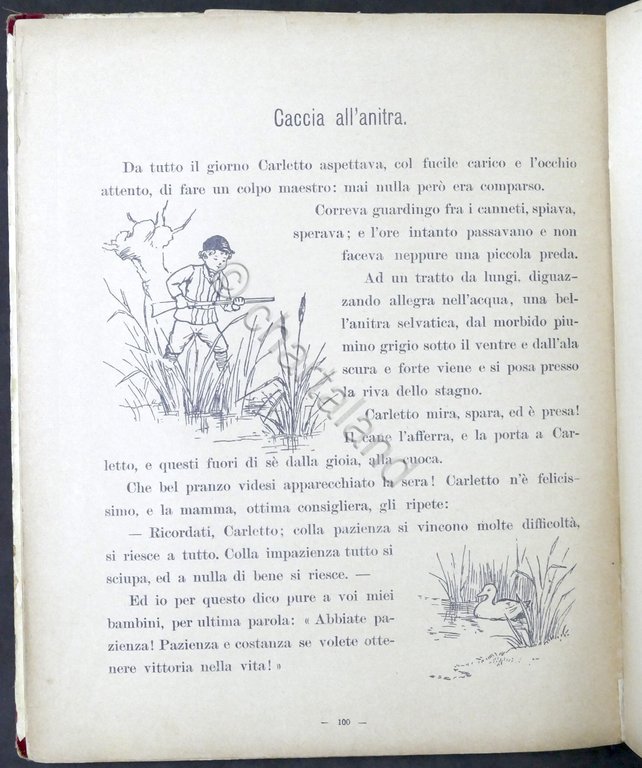 Fides - Storielle Amene illustrate per il mondo piccino - …