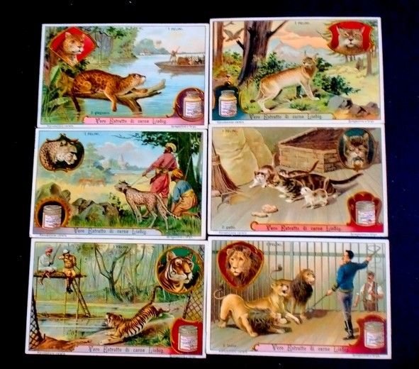 Figurine LIEBIG - I Felini - Rif. N° 1072