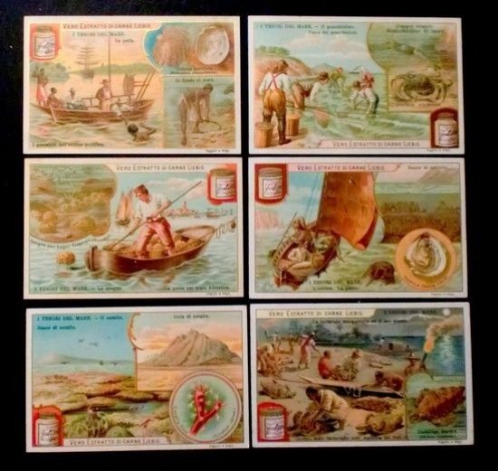 Figurine LIEBIG - I Tesori del Mare - Rif. N° … | Immagine principale