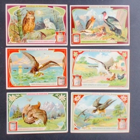 Figurine LIEBIG - Uccelli di Rapina - Rif. N° 872 | Immagine principale