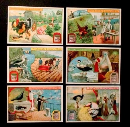 Figurine LIEBIG - Uccelli utili - Rif. N° 799