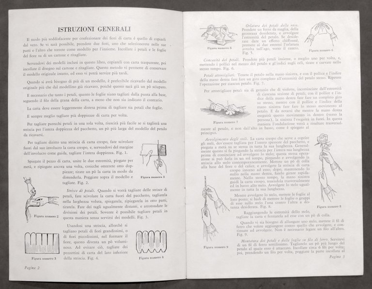 Fiori in Carta Crespo Dennison - Modelli e istruzioni - … | Immagine Gallery 3