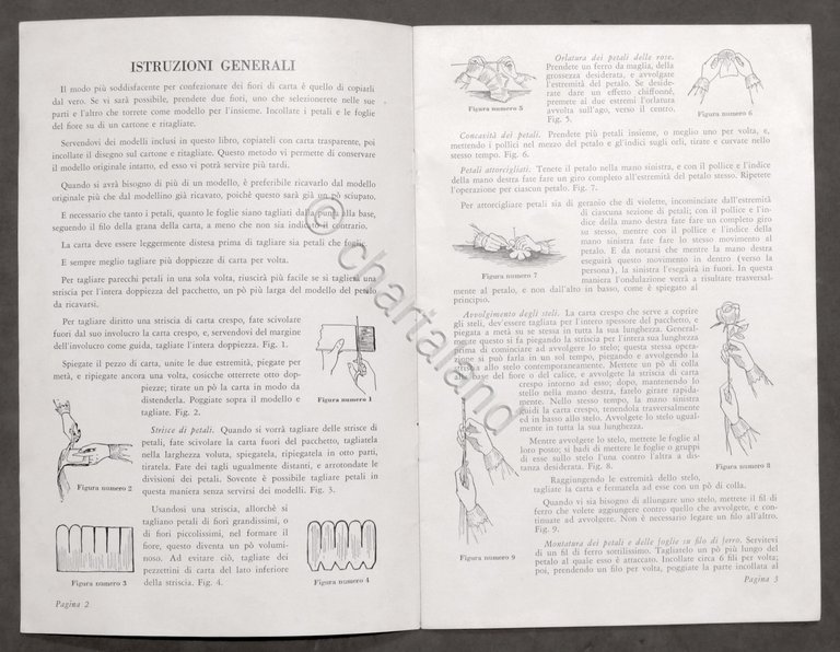Fiori in Carta Crespo Dennison - Modelli e istruzioni - … | Immagine Gallery 2