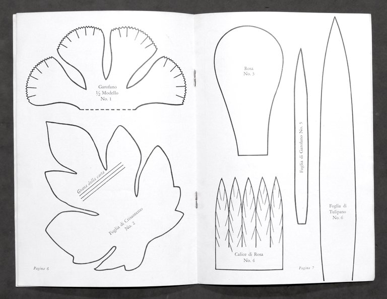Fiori in Carta Crespo Dennison - Modelli e istruzioni - … | Immagine Gallery 5