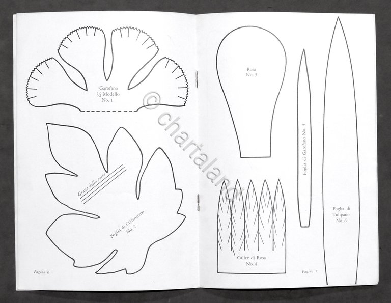 Fiori in Carta Crespo Dennison - Modelli e istruzioni - … | Immagine Gallery 4