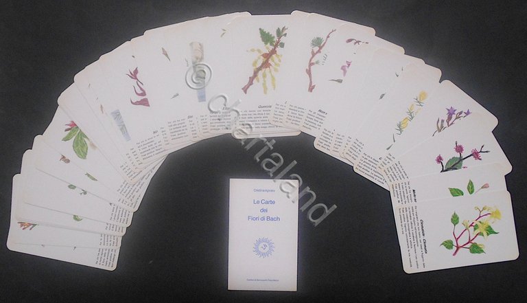 Floriterapia - Le Carte dei Fiori di Bach - ed. …