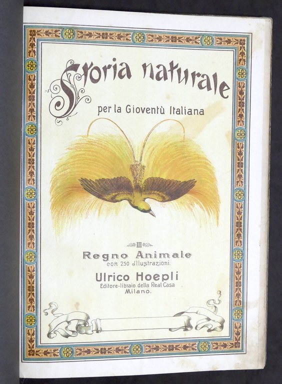 Fornari - Storia naturale per la gioventù italiana - Regno … | Immagine Gallery 2
