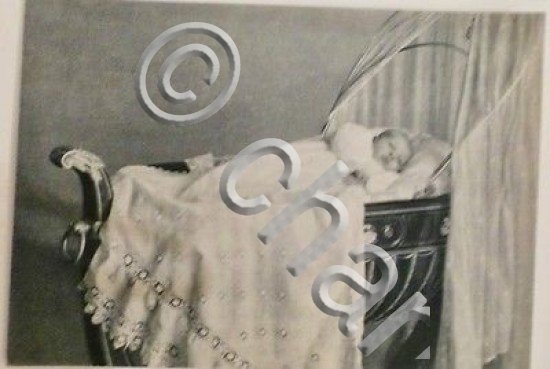 Foto cartolina - Il Principe di Napoli - Savoia