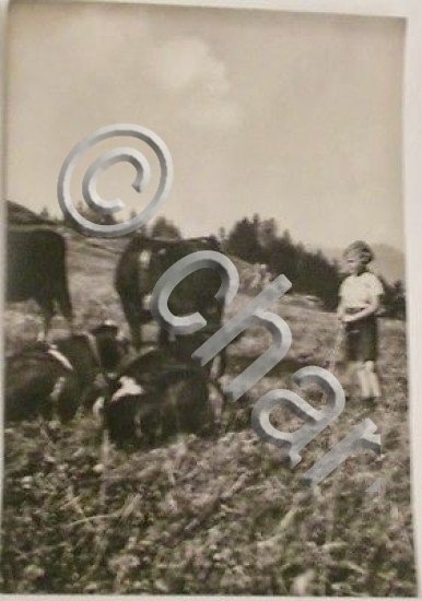 Foto cartolina - L'altezza Reale la Principessa Maria Pia - …