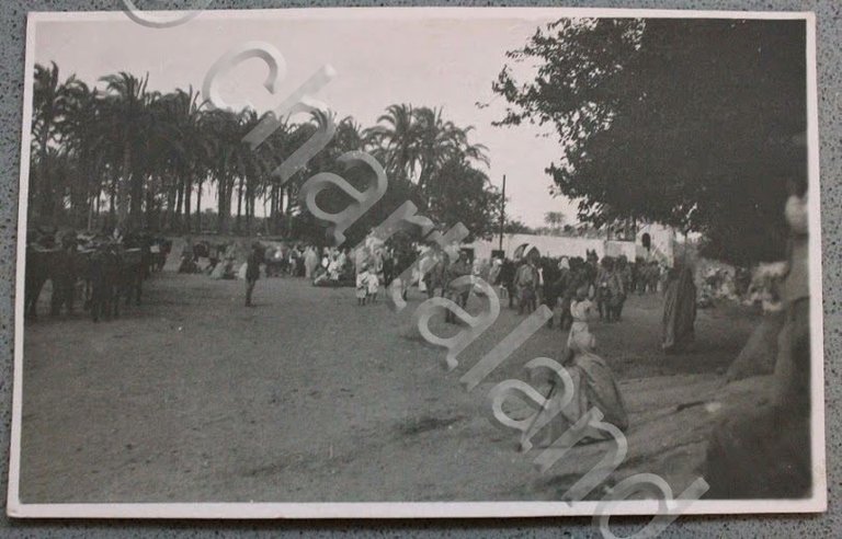 Foto cartolina d'epoca Guerra Italo Turca - colonia 1911