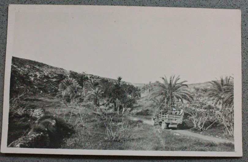 Foto cartolina d'epoca Guerra Italo Turca - oasi e camion …