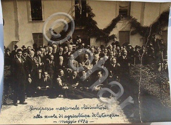 Foto Congresso Nazionale Olivicultori Catanzaro 1924