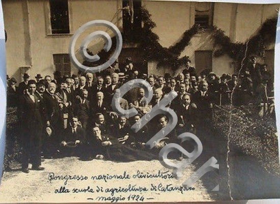Foto Congresso Nazionale Olivicultori Catanzaro 1924