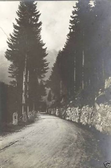 Foto d'epoca Lucini Paesaggio, strada Montagna anni '10