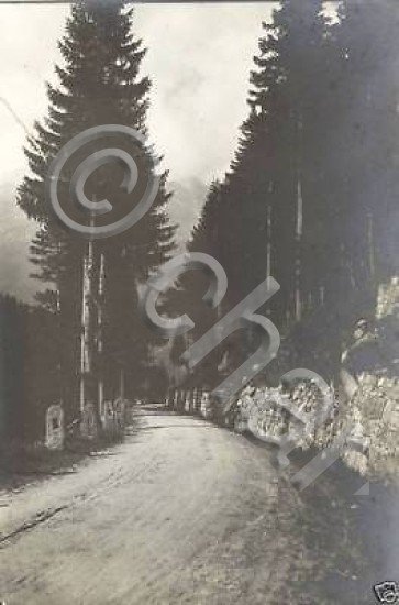 Foto d'epoca Lucini Paesaggio strada montagna anni '10 | Immagine principale