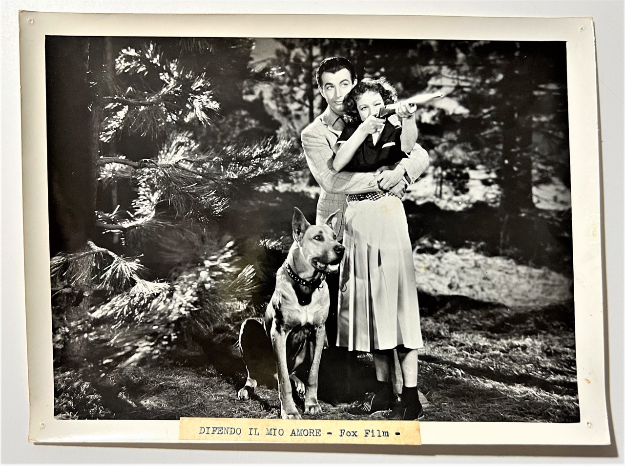 Foto del Fox Film - Difendo il mio Amore - …