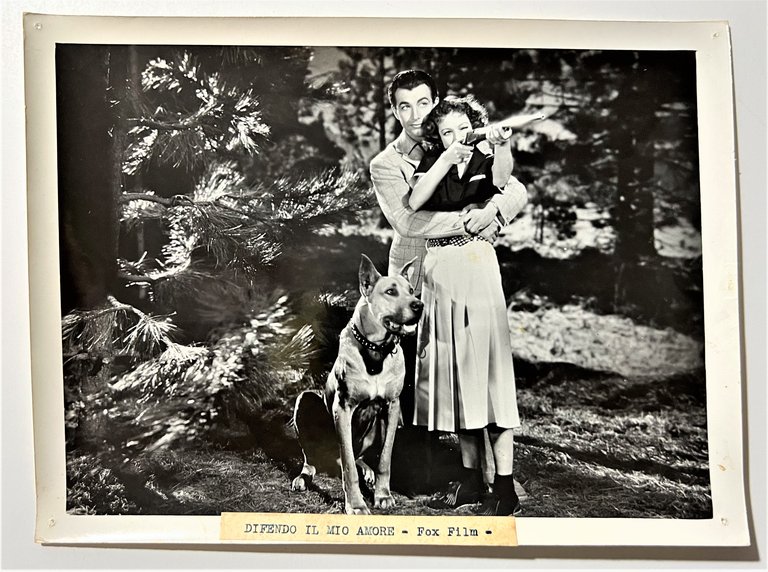 Foto del Fox Film - Difendo il mio Amore - … | Immagine Gallery 1