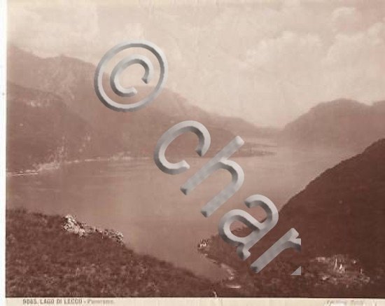 * Foto Edizioni Brogi 1875 ca. - Panorama Lago di …