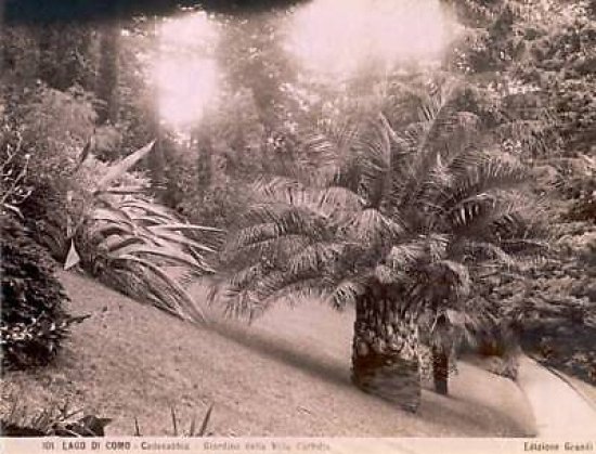 * Foto Grandi Lago Como 1875 Orto Botanic Villa Carlotta