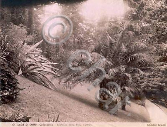 * Foto Grandi Lago Como 1875 Orto Botanic Villa Carlotta