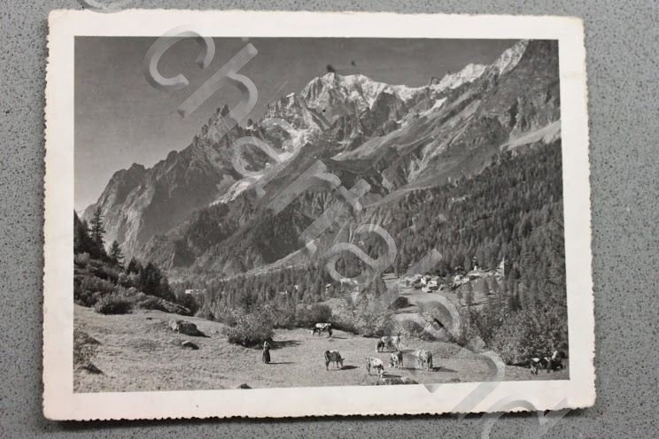 Foto Montagna Courmayeur 1950 - Courmayeur Frazione Planpincieux 1500 mt