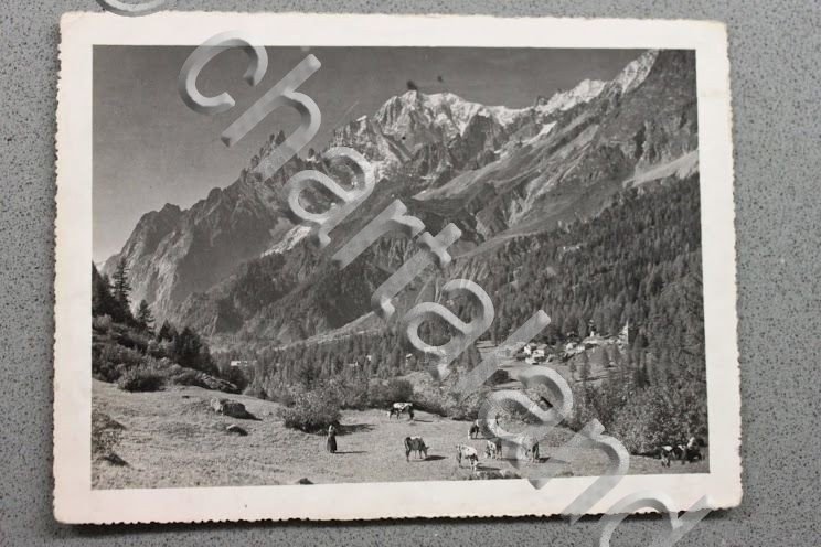 Foto Montagna Courmayeur 1950 - Courmayeur Frazione Planpincieux 1500 mt