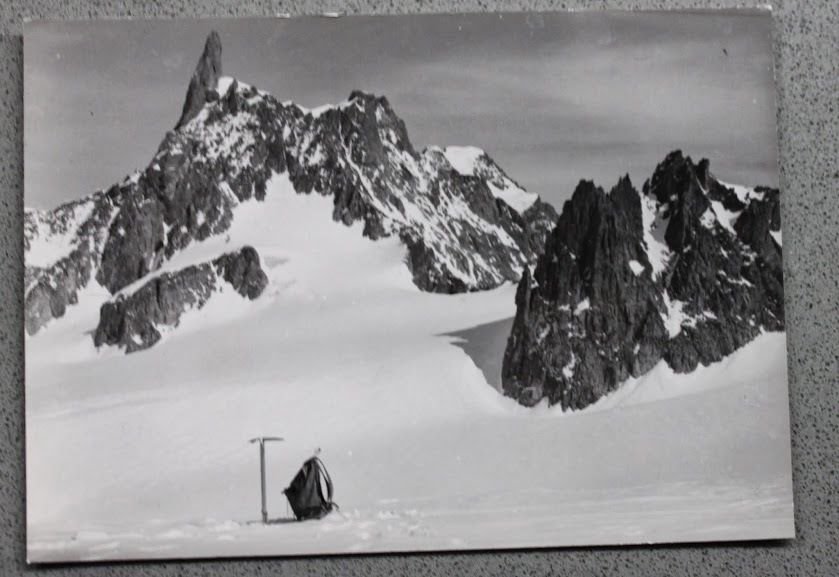Foto Montagna Valle d'Aosta 1950 ca - Courmayeur Dente del …