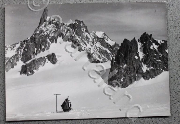 Foto Montagna Valle d'Aosta 1950 ca - Courmayeur Dente del …