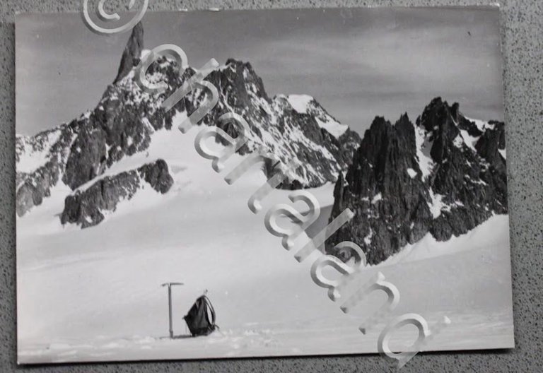 Foto Montagna Valle d'Aosta 1950 ca - Courmayeur Dente del …