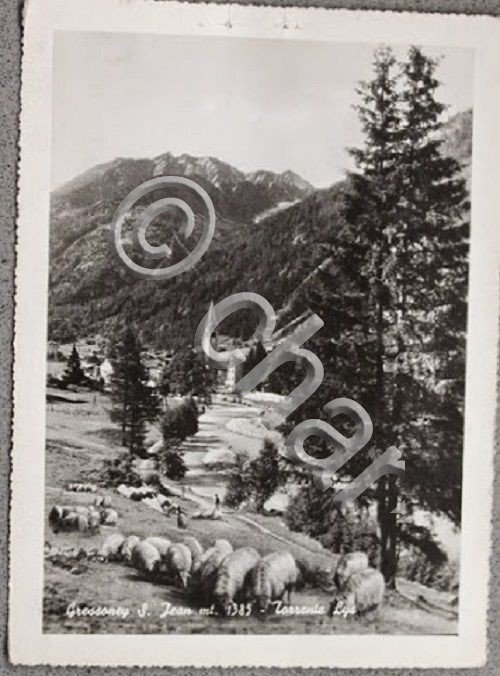 Foto Montagna Valle d'Aosta 1950 ca panorama Saint Jean Gressoney …