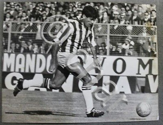 Fotografia Calcio campione Juventus Nestor Combin 1964 ca