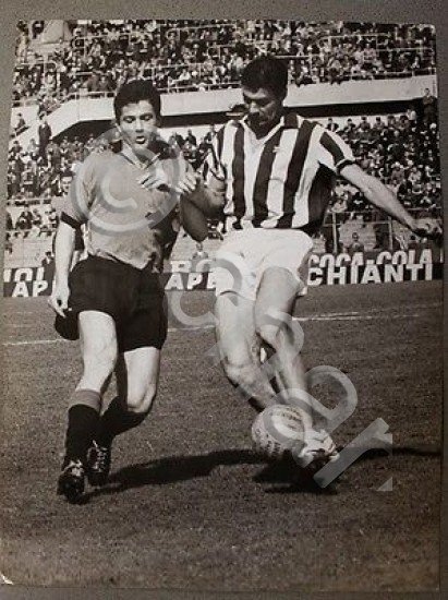 Fotografia Calcio Juventus - Venezia 1967 Lucio Bertogna e Sandro …