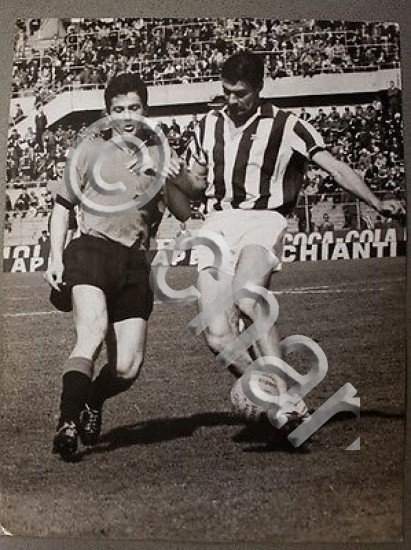 Fotografia Calcio Juventus - Venezia 1967 Lucio Bertogna e Sandro …