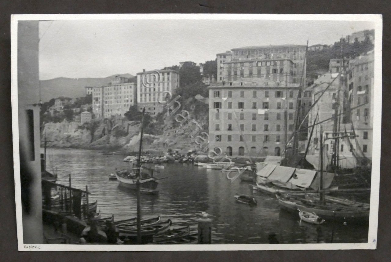 Fotografia d'epoca - Camogli - Scorcio panoramico - 1930 ca. | Immagine principale