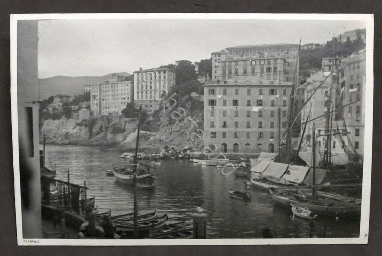 Fotografia d'epoca - Camogli - Scorcio panoramico - 1930 ca. | Immagine Gallery 1
