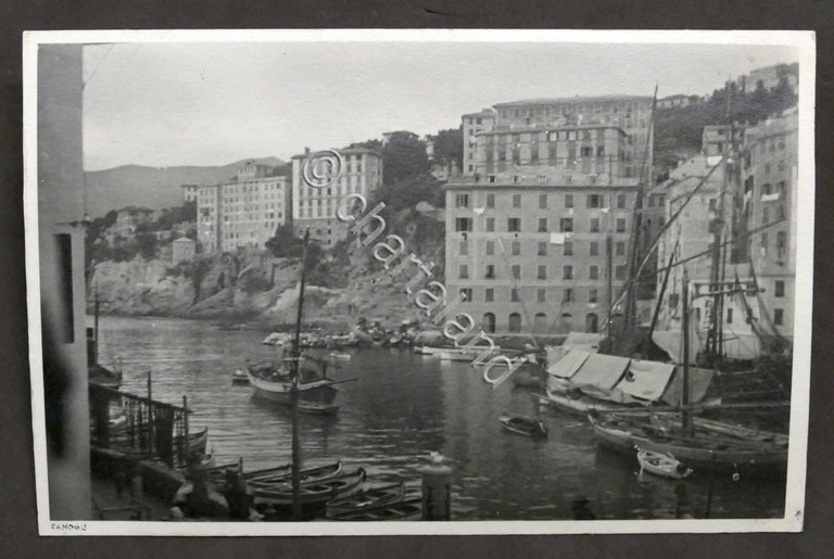 Fotografia d'epoca - Camogli - Scorcio panoramico - 1930 ca. | Immagine Gallery 2