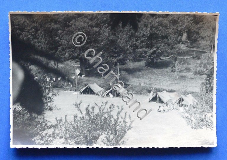 Fotografia d'epoca - Foto Boy Scout Liguria (48) - anni …