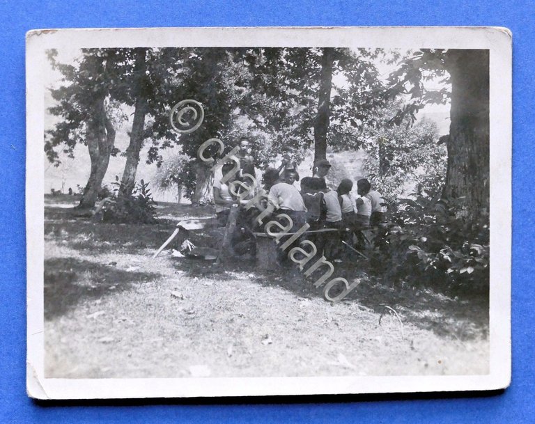 Fotografia d'epoca - Fotocartolina Boy Scout Liguria (19) - anni …