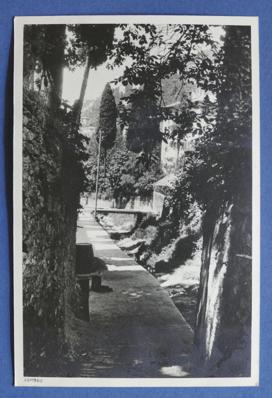 Fotografia d'epoca Ponte di Cò - Camogli - agosto 1936