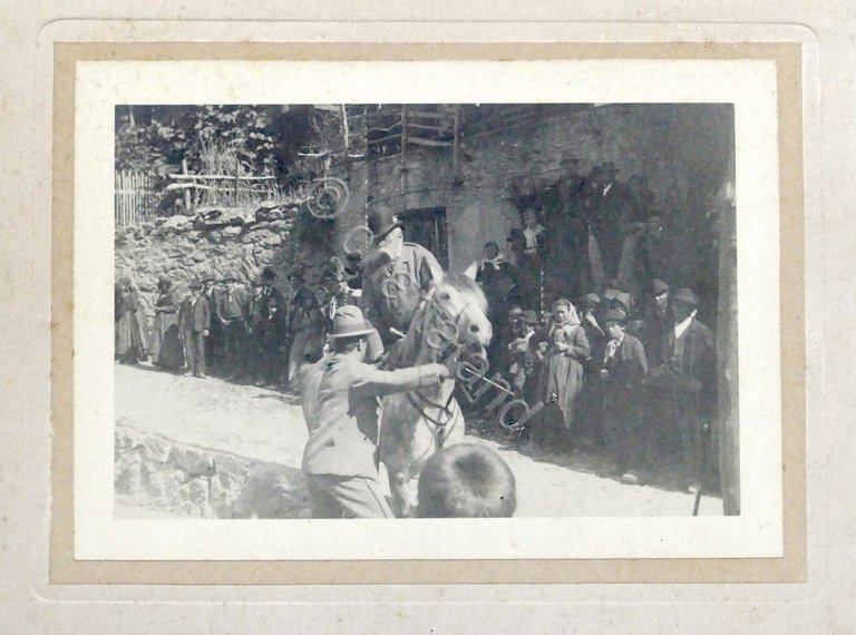 Fotografia Francesco Giuseppe I imperatore d'Austria a cavallo - 1894