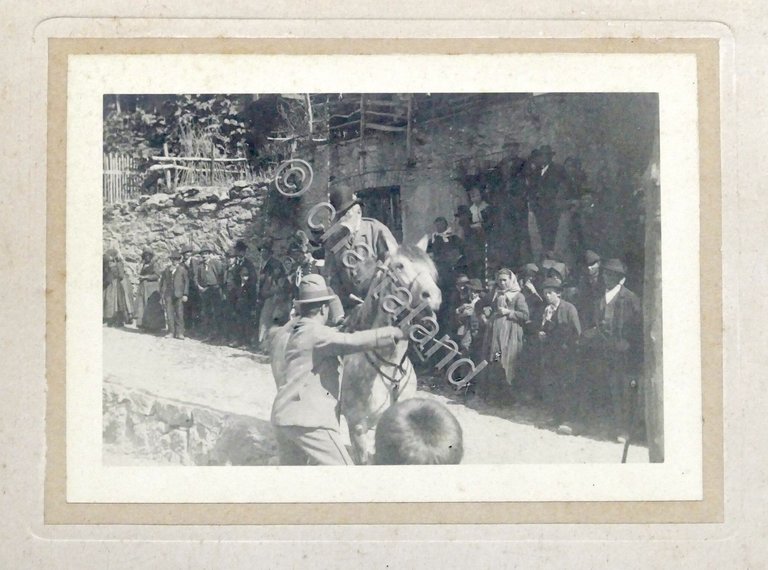 Fotografia Francesco Giuseppe I imperatore d'Austria a cavallo - 1894