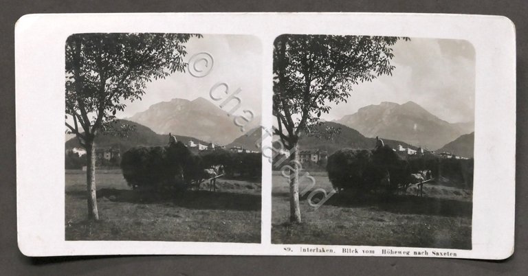 Fotografia stereoscopica - Interlaken - Vista da Hoheweg verso Saxeten …