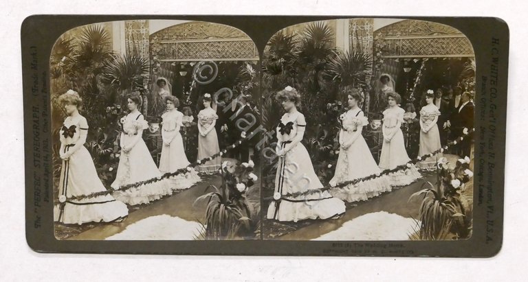 Fotografia stereoscopica - La marcia nuziale - 1903 | Immagine Gallery 2