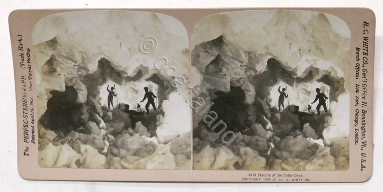 Fotografia stereoscopica - La tana all'orso polare Haunts of the …