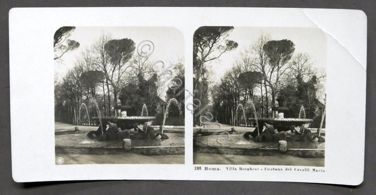 Fotografia stereoscopica - Roma Villa Borghese - Fontana dei Cavalli …