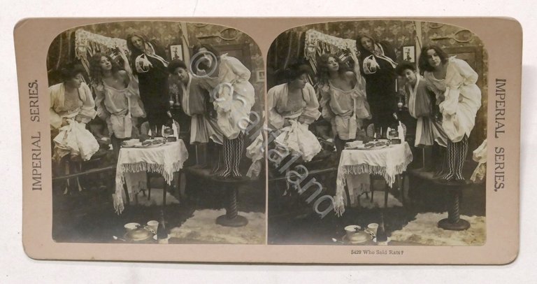 Fotografia stereoscopica Ragazze, attenzione ai topi! - Who said rats? …